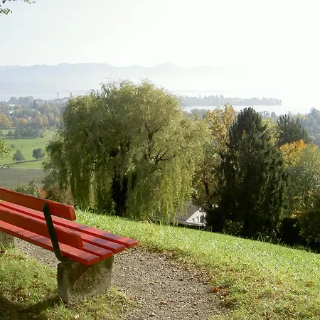 Dinkelbach Traumblick 3 B Wasserburg am Bodensee